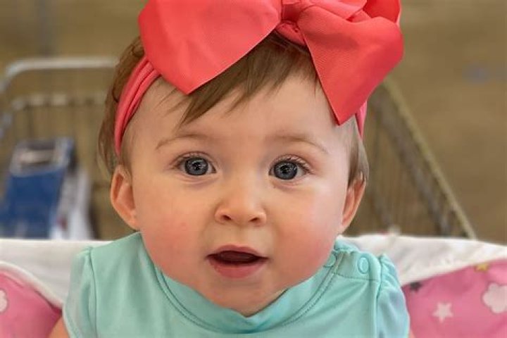 Who is Harlow Darby Freeman? Amber alert canceled after 'abducted' 9-month-old Alabama girl is found ·